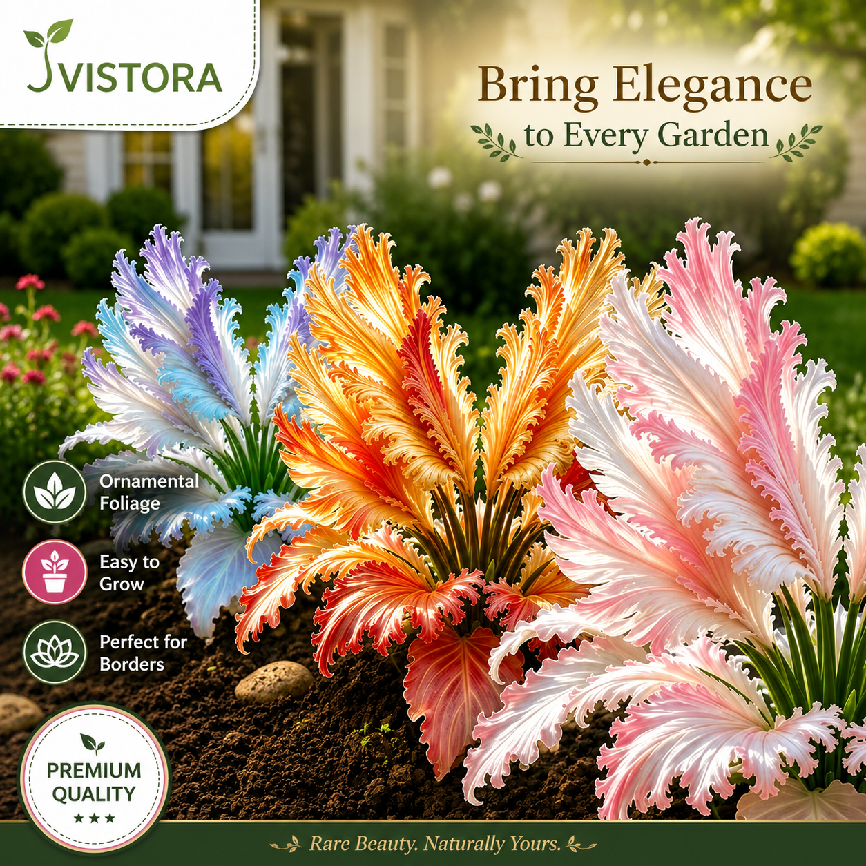 🌱Rare Swan Feather Hosta Bulbs -🦢 Graceful Foliage That Unfolds Like Swan Wings🔥Buy 6 Get 6 Free Bulbs🔥