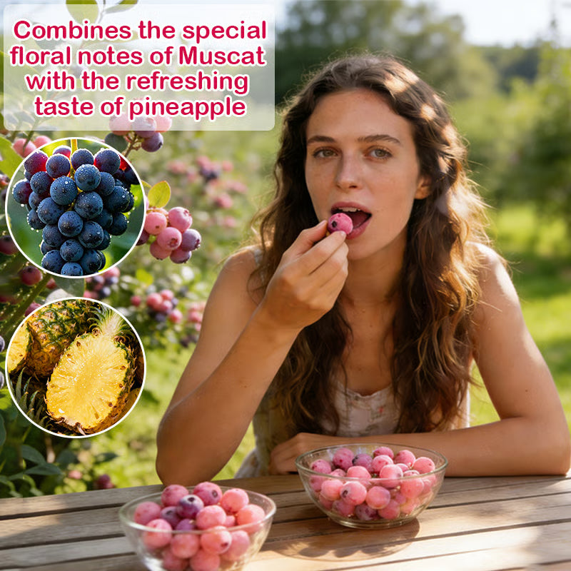 🔥50K+ SOLD!💟Premium Pink Blueberry Seeds 🌱BUY 1 GET 1 FREE 🌸 With Plant Growth Supplement