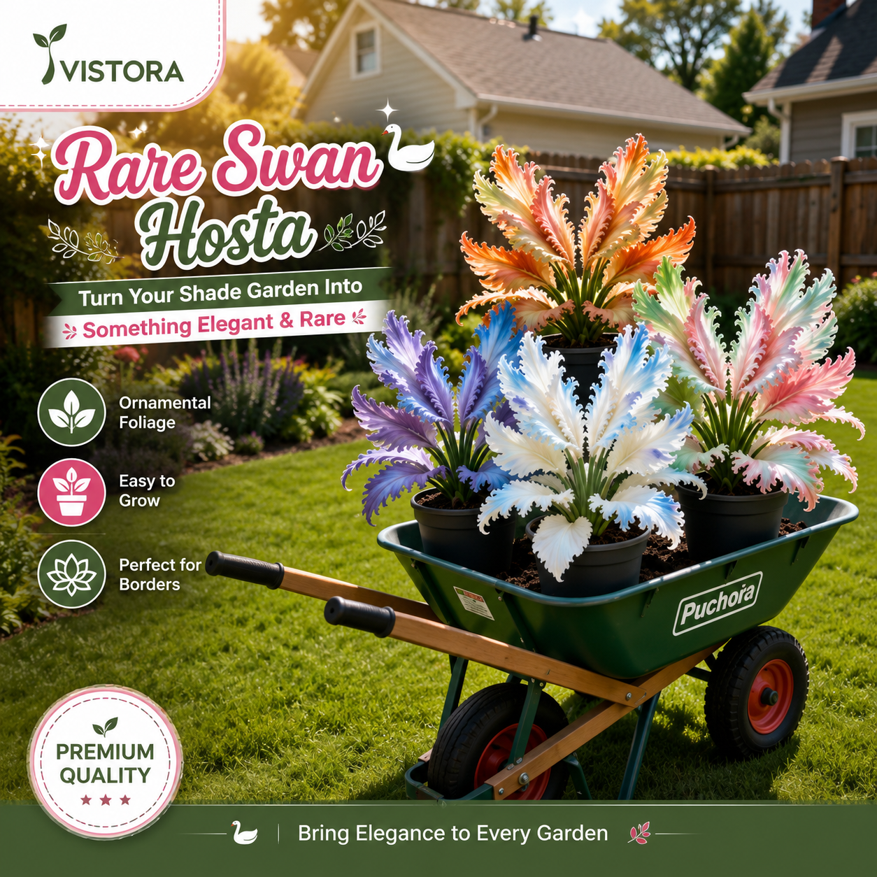 🌱Rare Swan Feather Hosta Bulbs -🦢 Graceful Foliage That Unfolds Like Swan Wings🔥Buy 6 Get 6 Free Bulbs🔥