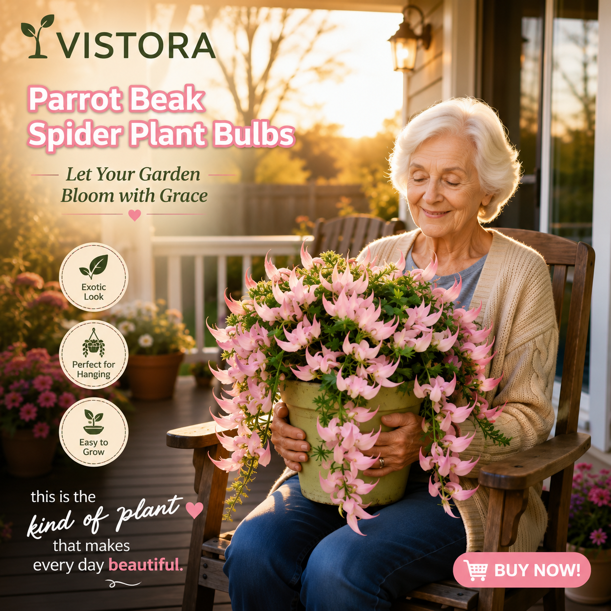 🪴🦜PARROTBEAK SPIDER PLANT BULBS - 🔥 BLOOMS FOR UP TO 300 DAYS A YEAR! 🦜Buy 6 Get 6 Free Bulbs🦜