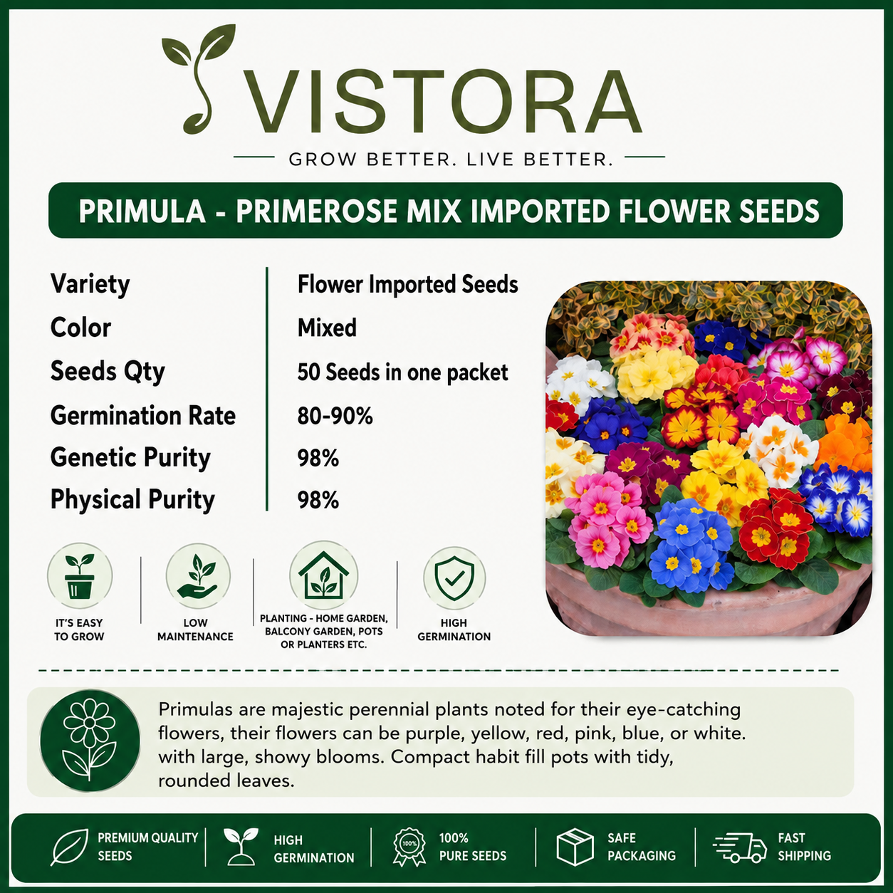 🌼Buy 1 Get 1 Free🌼 Premium Primrose Flower Seeds – Mixed Colors | FREE Gardening Gift Included 🎁