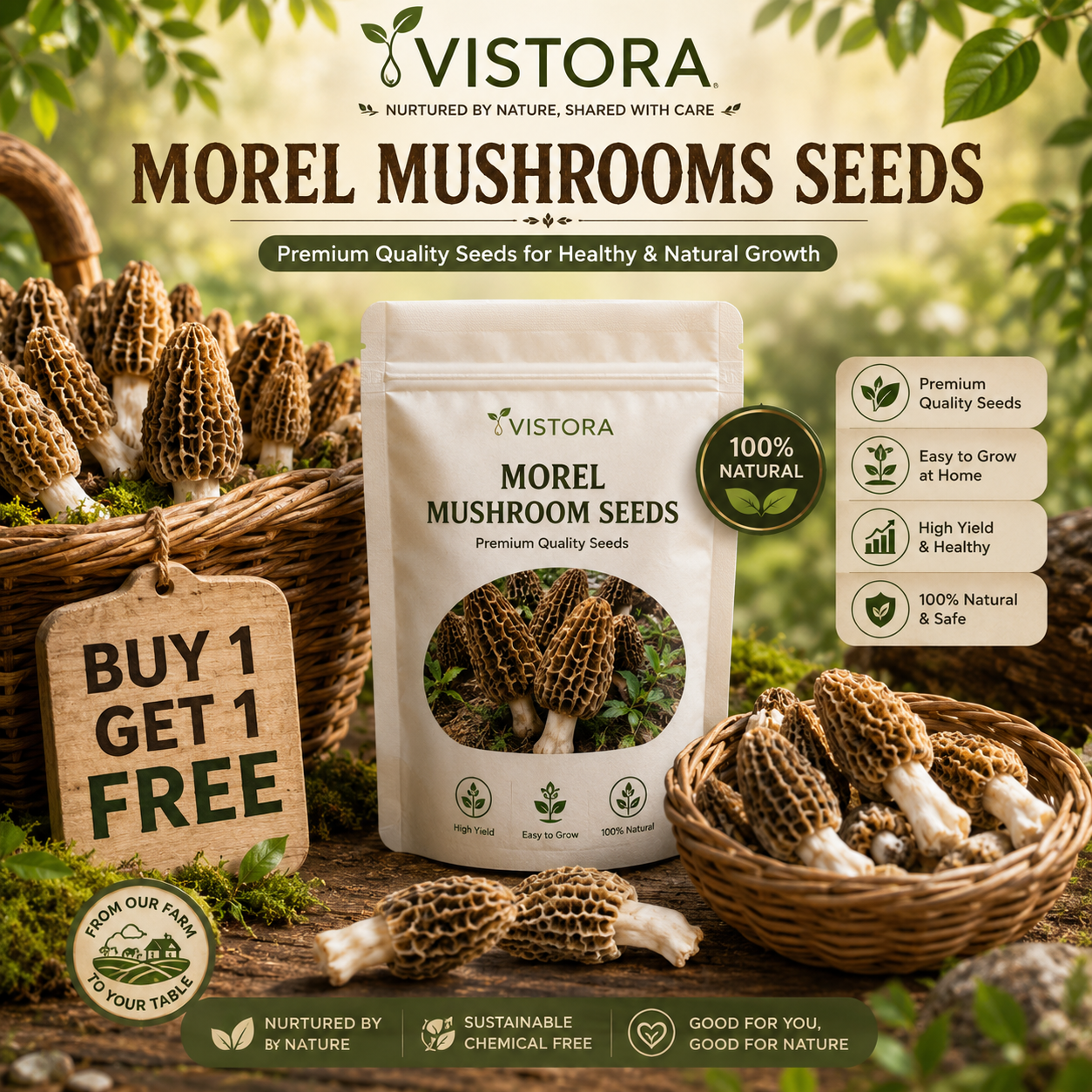🥳2026 HOT SALE🥳💞50K+ SOLD!✨Morel Mushrooms Seeds – Buy 1 Get 1 Free Special Pack