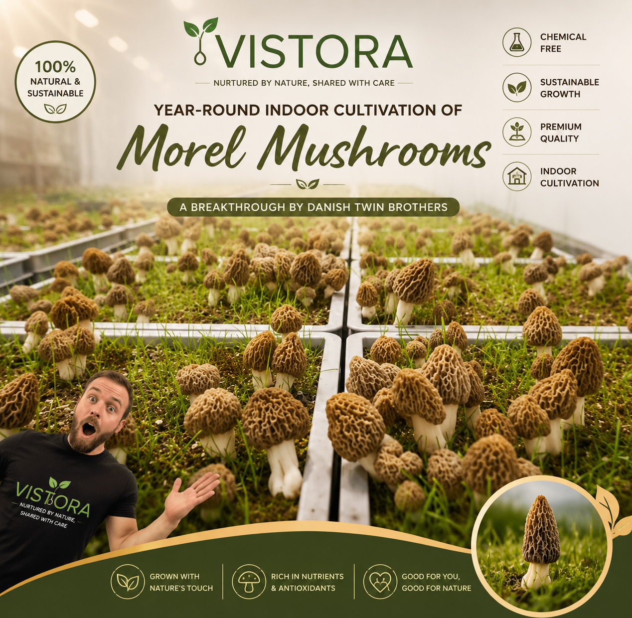🥳2026 HOT SALE🥳💞50K+ SOLD!✨Morel Mushrooms Seeds – Buy 1 Get 1 Free Special Pack