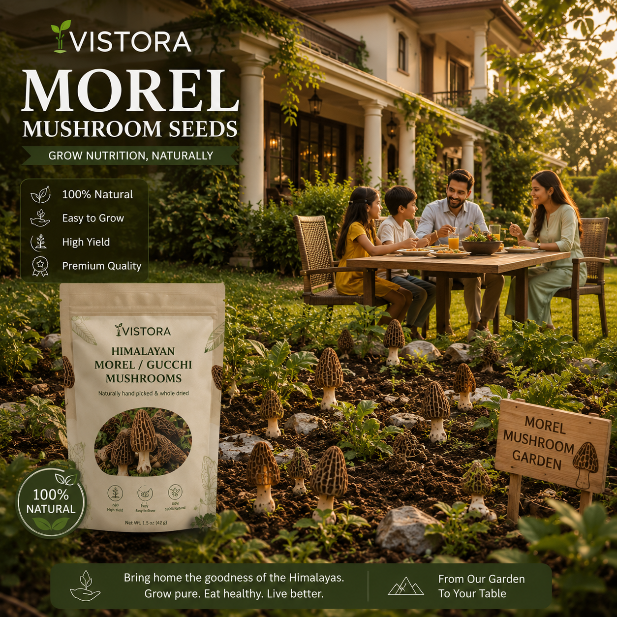 🥳2026 HOT SALE🥳💞50K+ SOLD!✨Morel Mushrooms Seeds – Buy 1 Get 1 Free Special Pack