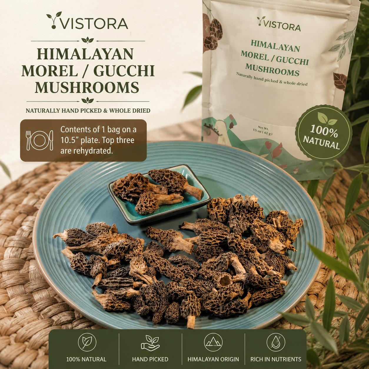 🥳2026 HOT SALE🥳💞50K+ SOLD!✨Morel Mushrooms Seeds – Buy 1 Get 1 Free Special Pack