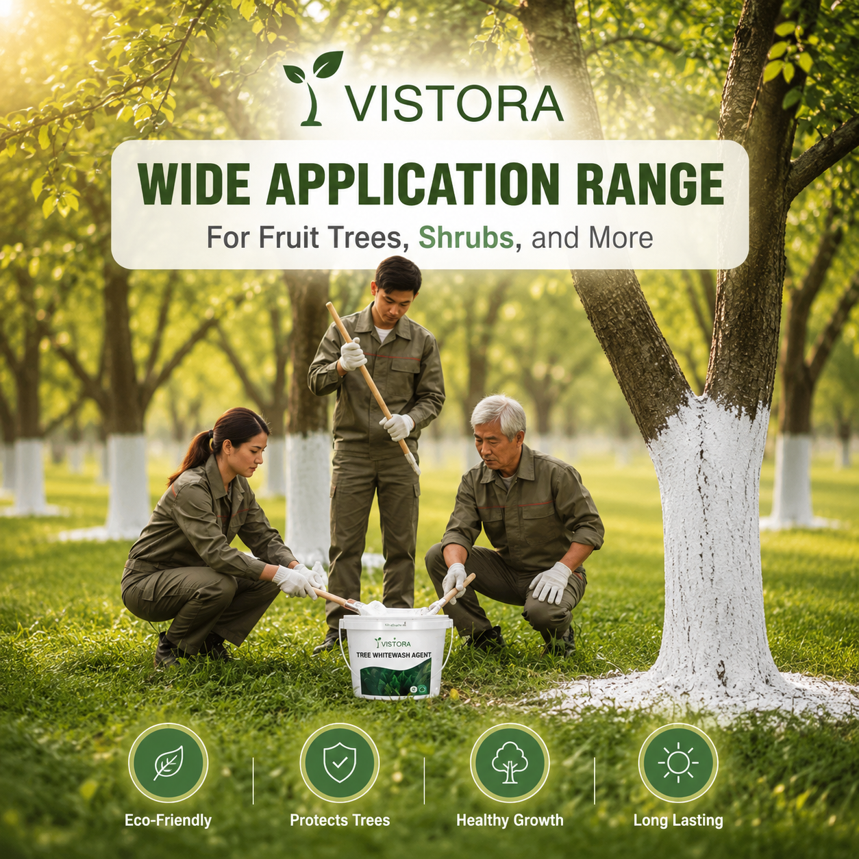 Exclusive Offer💥Long-Lasting Tree Whitewash Agent 🔥 Buy 1 Get 1 FREE 🔥
