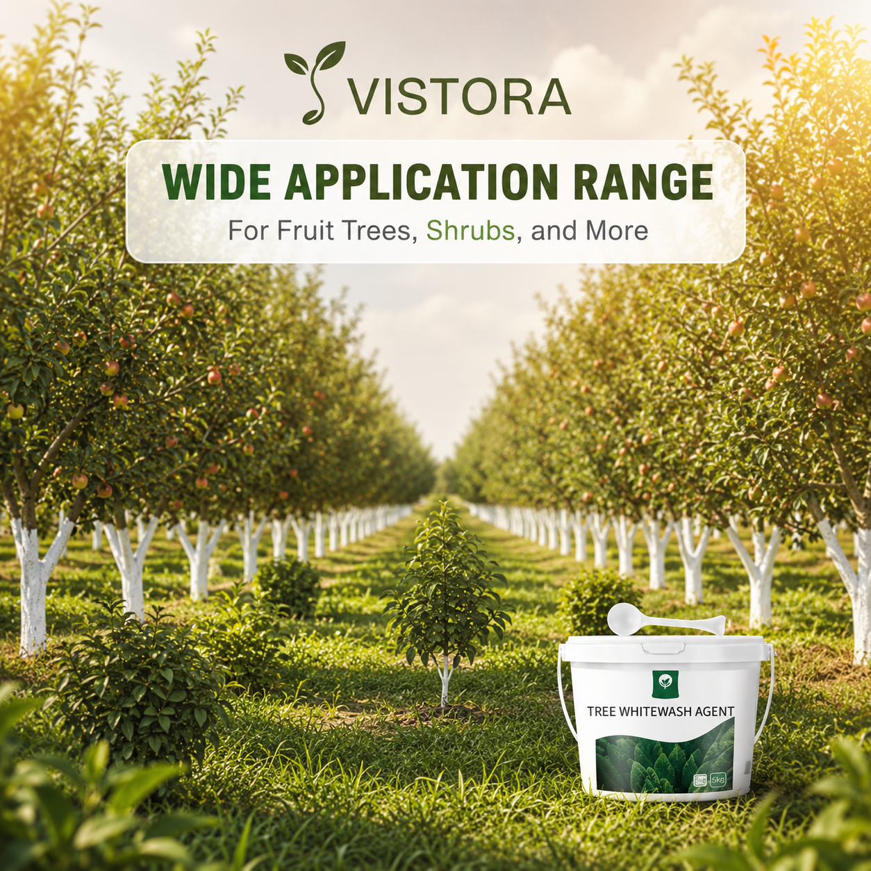 Exclusive Offer💥Long-Lasting Tree Whitewash Agent 🔥 Buy 1 Get 1 FREE 🔥