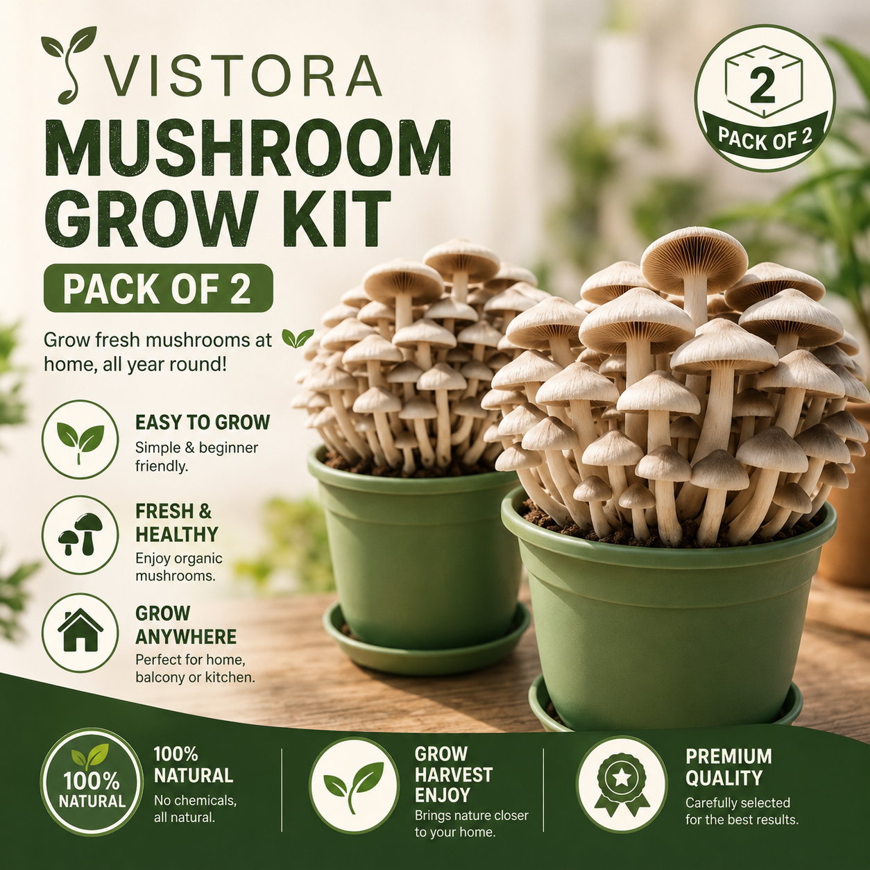🥳2026 HOT SALE🥳💞50K+ SOLD!✨Premium Organic Mushroom Harvest Grow Kit Seeds – Buy 1 Get 1 Free Special Pack