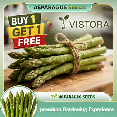 🌱 Grow Your Own Asparagus from Seeds — Fresh, Flavorful & Long-Lasting 👑 | 🔥Buy 1 Get 1 Free🔥