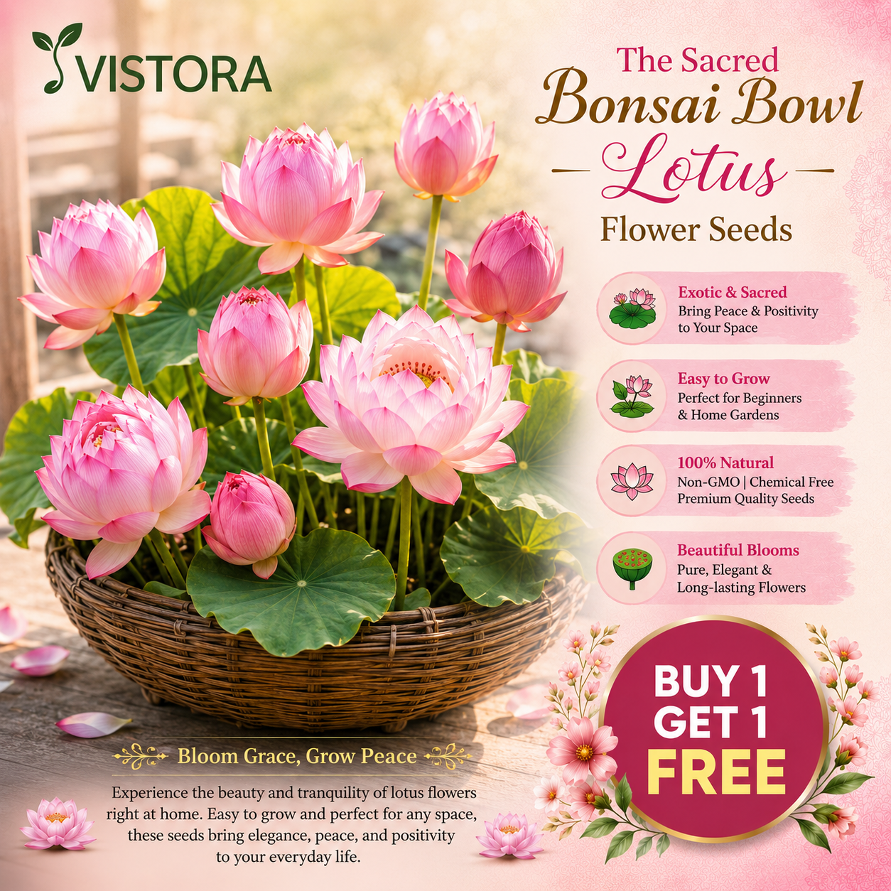 🌸【7 days germination】Last Day 50% OFF💐The Sacred Bonsai Bowl Lotus Flower Seeds | 💐Buy 1 Get 1 Free💐
