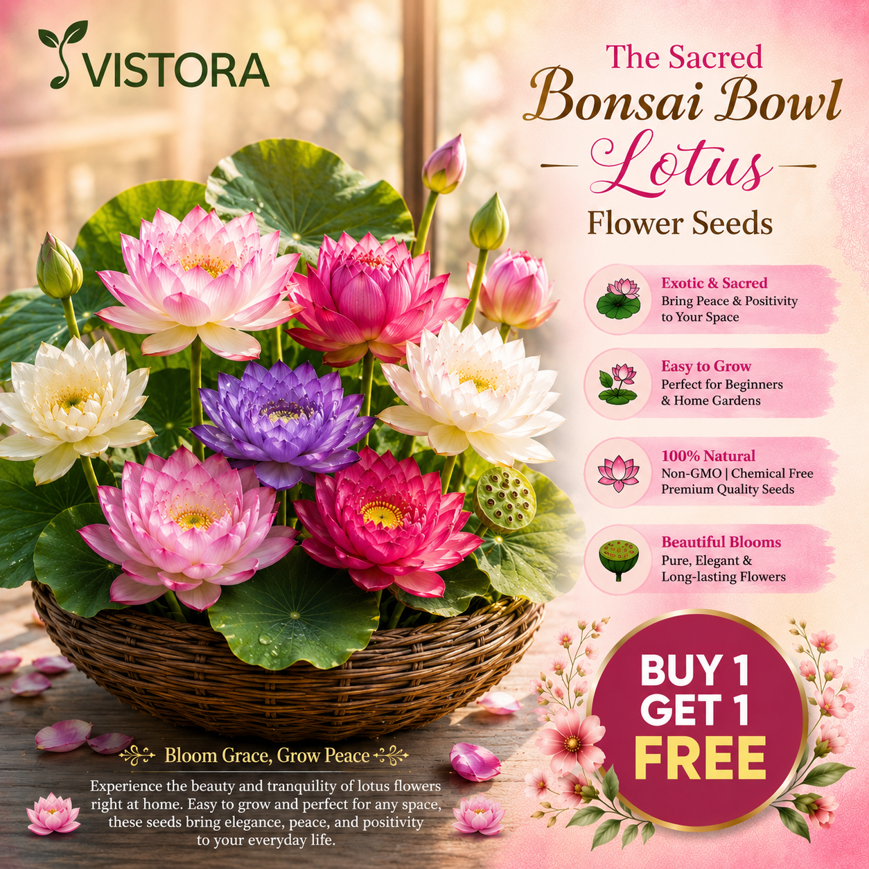 🌸【7 days germination】Last Day 50% OFF💐The Sacred Bonsai Bowl Lotus Flower Seeds | 💐Buy 1 Get 1 Free💐