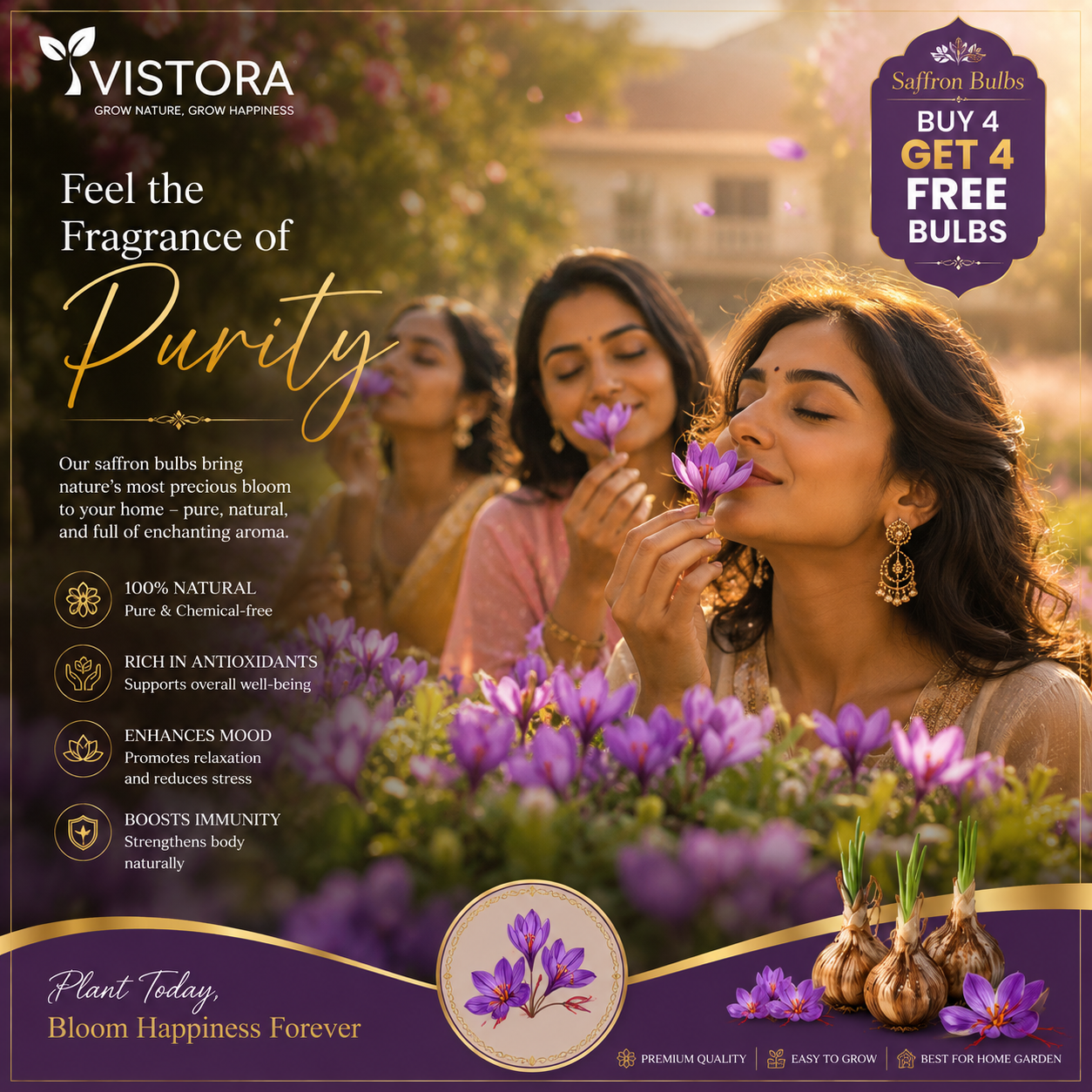 🌹Saffron Bulbs—Gold in the Flower Seeds🌹🔥Buy 4 Get 4 Free Bulbs🔥