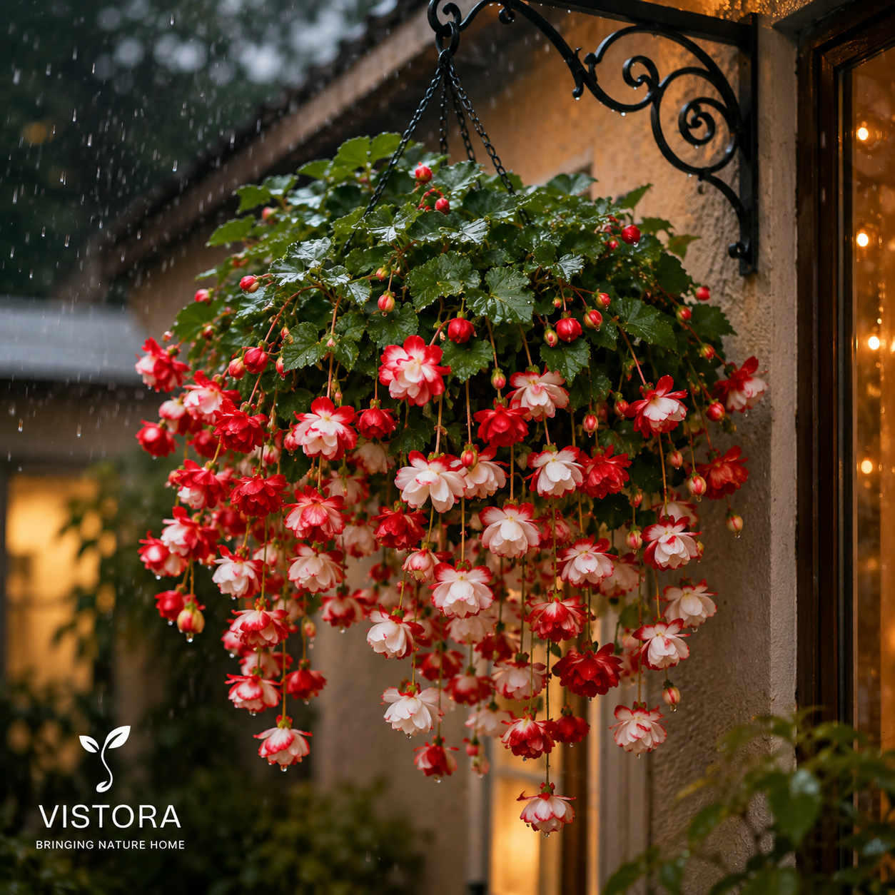 🌸【7 days germination】Last Day Up to 50% OFF💐Muti-Color Rare Weeping Crabapple Flowers Bulbs🌸Buy 4 Get 4 Free Bulbs🌸