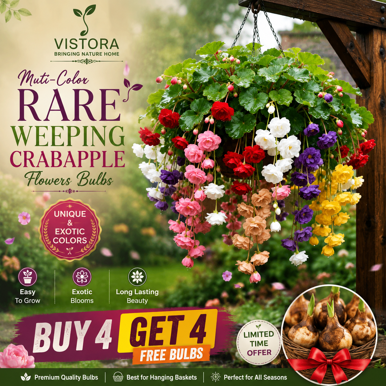 🌸【7 days germination】Last Day Up to 50% OFF💐Muti-Color Rare Weeping Crabapple Flowers Bulbs🌸Buy 4 Get 4 Free Bulbs🌸