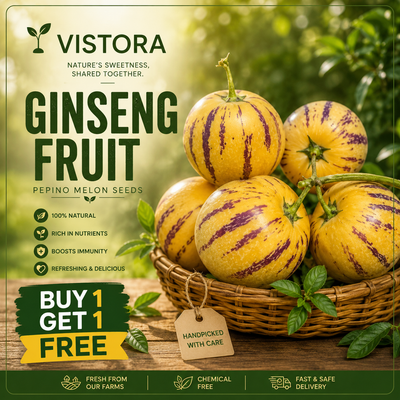🍈 Buy 1 Get 1 Free 🍈 GINSENG FRUIT PEPINO MELON SEEDS-SOLANUM MURICATUM