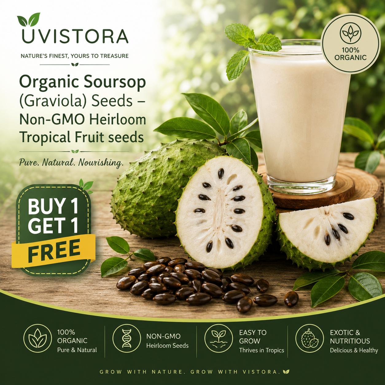 💥 Buy 1 Get 1 Free 💥🌸 Organic Soursop (Graviola) Seeds – Non-GMO Heirloom Tropical Fruit seeds