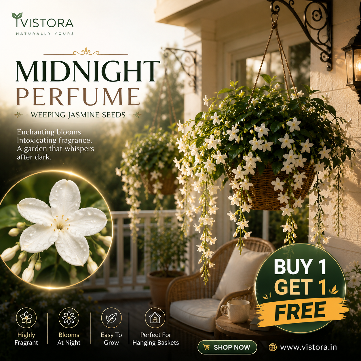💐 MIDNIGHT PERFUME - WEEPING JASMINE SEEDS 💐🌸 Buy 1 Get 1 Free 🌸