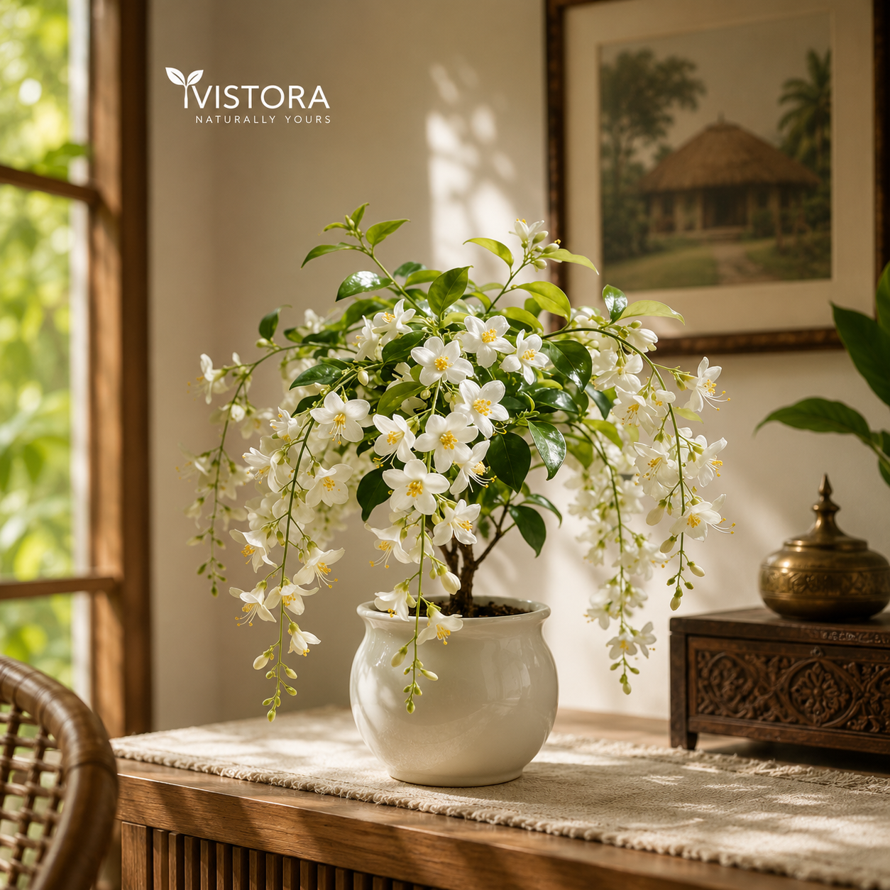 💐 MIDNIGHT PERFUME - WEEPING JASMINE SEEDS 💐🌸 Buy 1 Get 1 Free 🌸