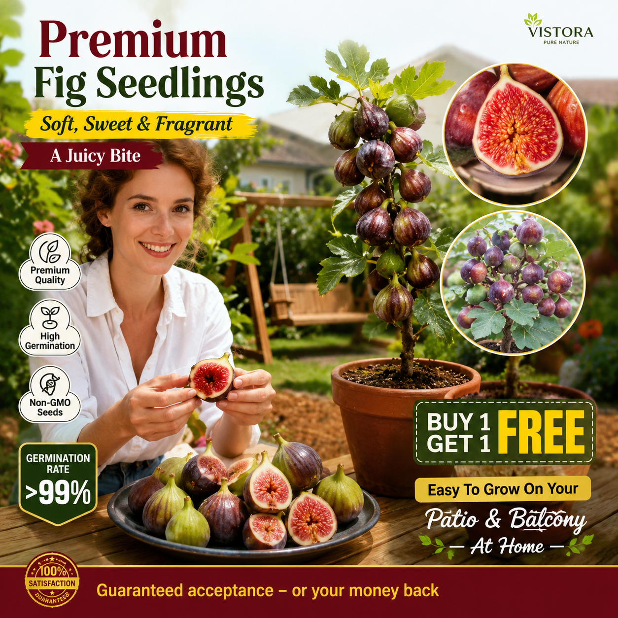 🏆💥 Buy 1 Get 1 Free 💥 🌱99% Germination🌿Brown Turkey Fig Seeds – Easy To Grow On Your Patio And Balcony At Home