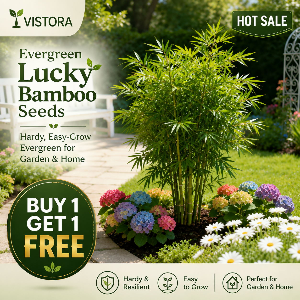 🎍Buy 1 Get 1 Free🎍 Evergreen Lucky Bamboo Seeds – Hardy, Easy-Grow Evergreen for Garden & Home