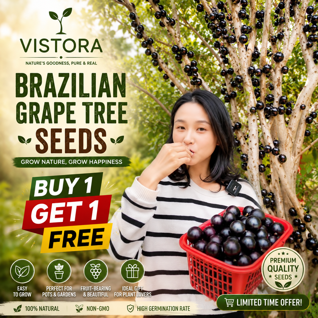 🌱BUY 1 GET 1 FREE BRAZILIAN GRAPE TREE SEEDS 🌱🍇 Exotic Fruit Plant Starter for Home Garden 🍇