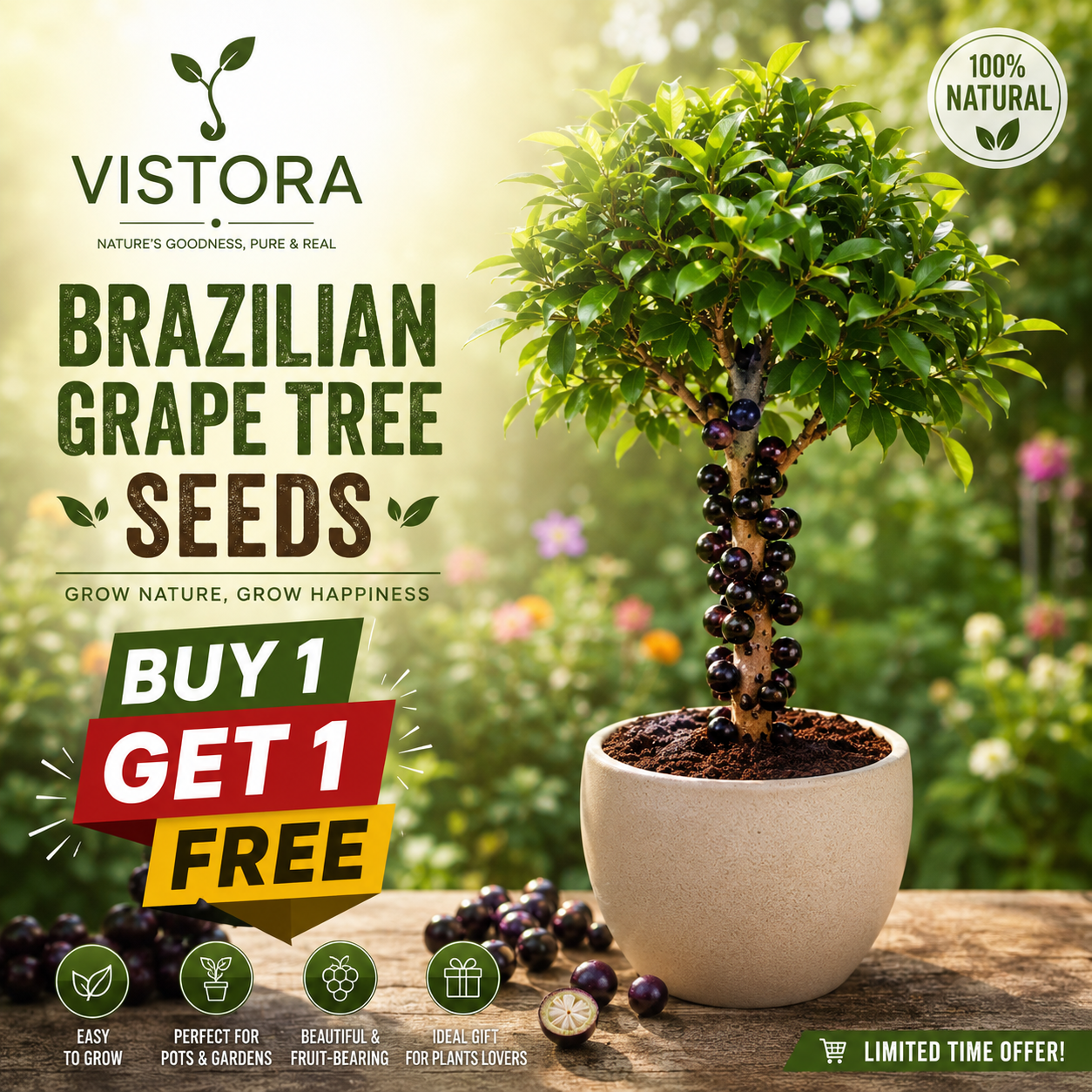 🌱BUY 1 GET 1 FREE BRAZILIAN GRAPE TREE SEEDS 🌱🍇 Exotic Fruit Plant Starter for Home Garden 🍇