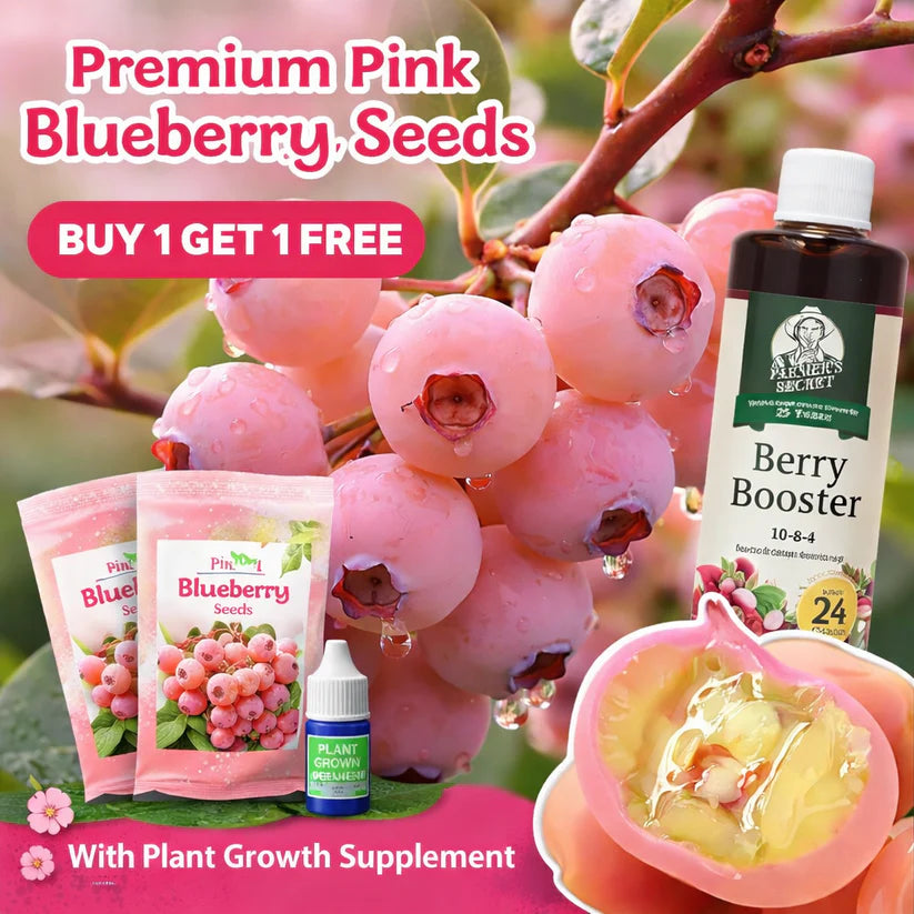 🔥50K+ SOLD!💟Premium Pink Blueberry Seeds 🌱BUY 1 GET 1 FREE 🌸 With Plant Growth Supplement