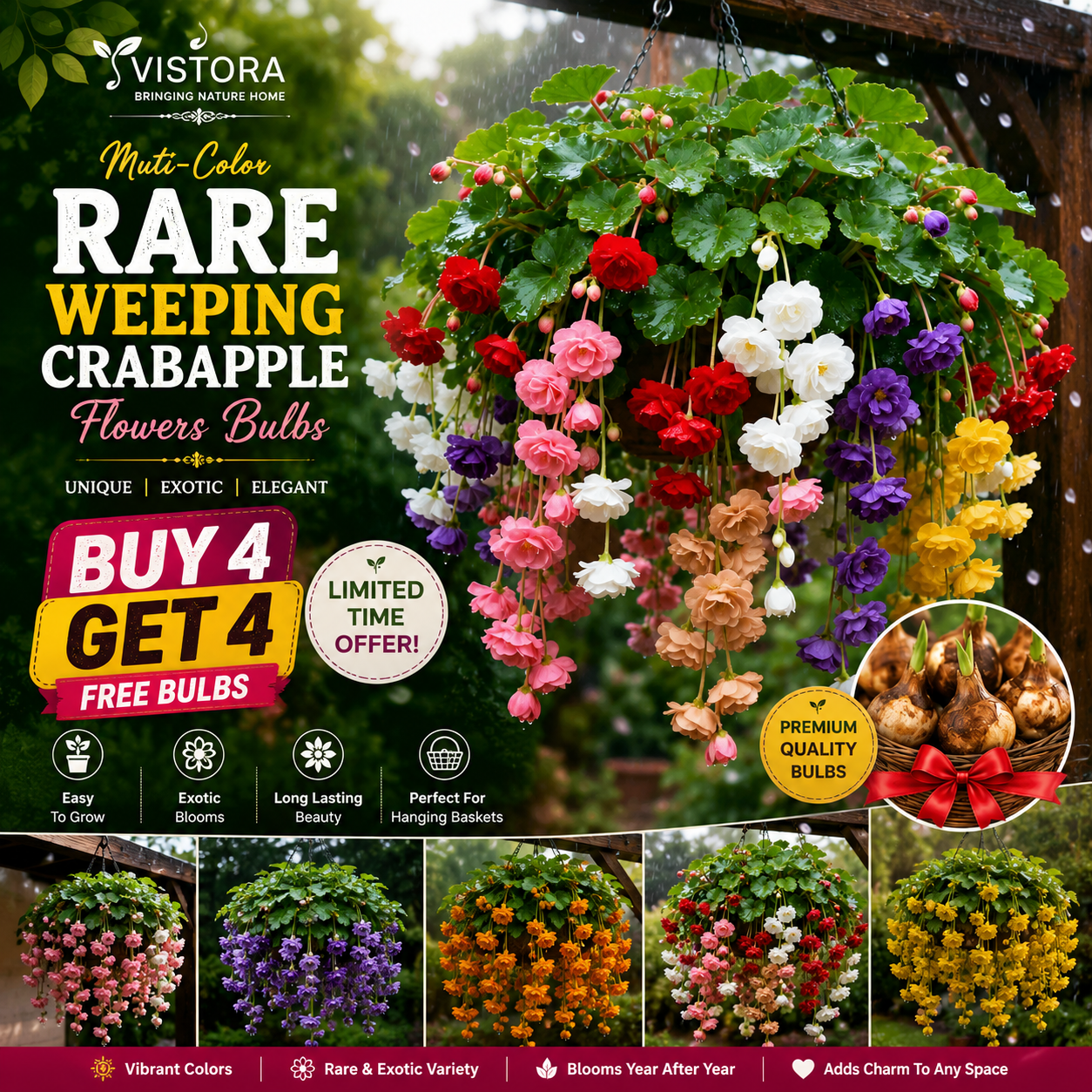 🌸【7 days germination】Last Day Up to 50% OFF💐Muti-Color Rare Weeping Crabapple Flowers Bulbs🌸Buy 4 Get 4 Free Bulbs🌸