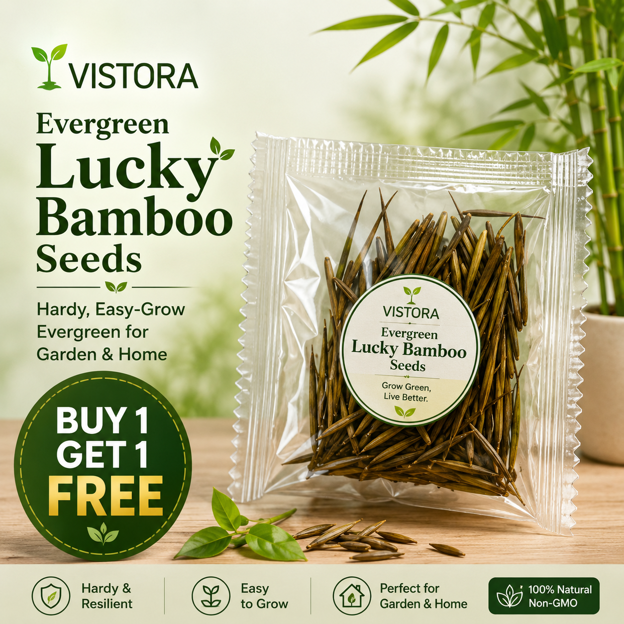 🎍Buy 1 Get 1 Free🎍 Evergreen Lucky Bamboo Seeds – Hardy, Easy-Grow Evergreen for Garden & Home