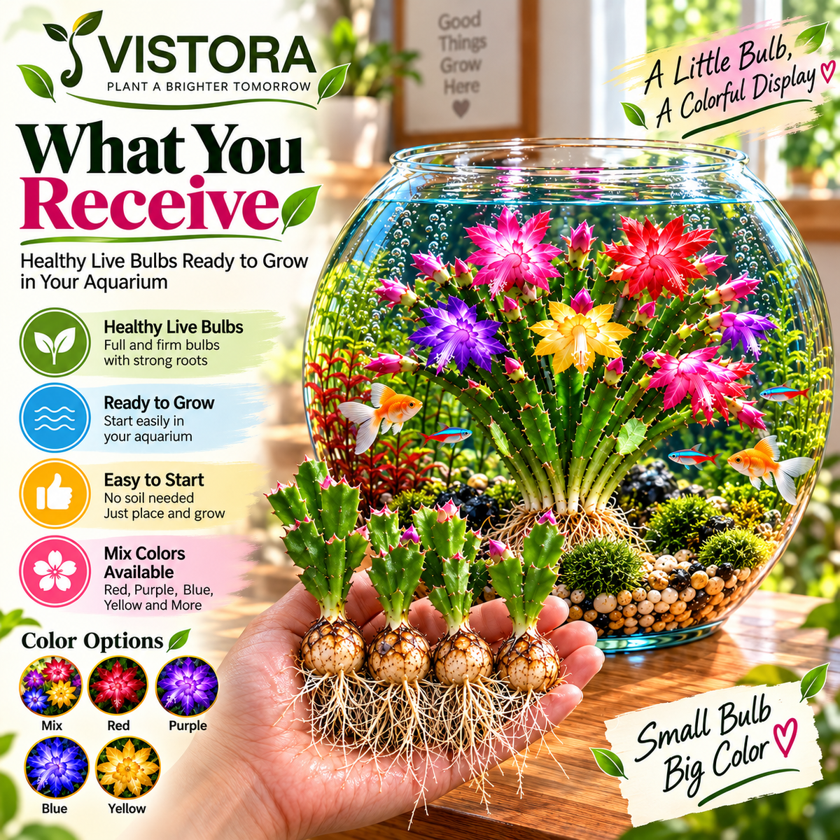 🦀 MIX COLORS RAINBOW AQUARIUM SCHLUMBERGERA – EASY-CARE BLOOMS IN EVERY SHADE FOR A COLORFUL AQUATIC DISPLAY 🌈🐠✨ Buy 4 Get 4 Free Bulbs ✨